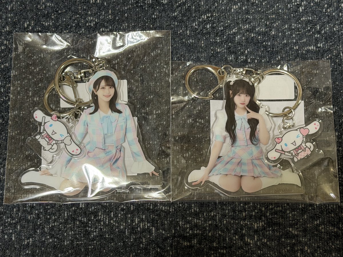 佐々木舞香セット(ビッグ賞&個別トートバッグ&ぬいぐるみ&シナモン