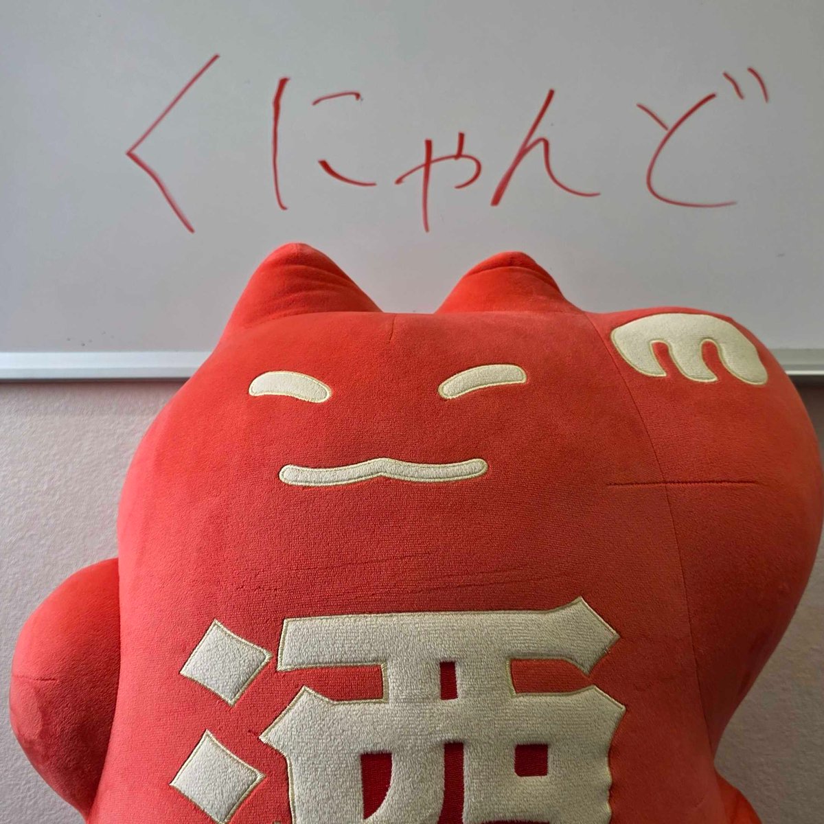 くにゃんどの日常 (@SHUGAR_INFO) / Posts / X