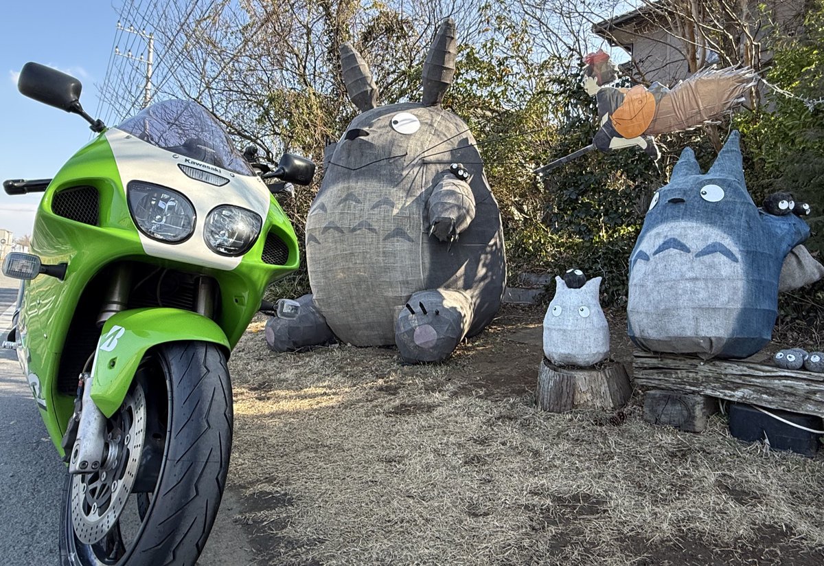 ✮ ɐ ʎ ɐ ✮🧄𝕄ℂ𝟙𝟟🫶🏻ℤ𝕏-𝟟ℝ ᐕ)ﾉ🍚 (@aaayaaa08109693) / Posts / X