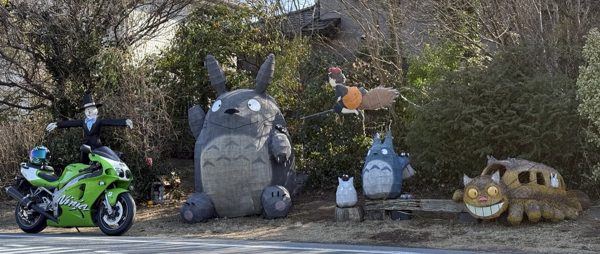 ✮ ɐ ʎ ɐ ✮🧄𝕄ℂ𝟙𝟟🫶🏻ℤ𝕏-𝟟ℝ ᐕ)ﾉ🍚 (@aaayaaa08109693) / Posts / X