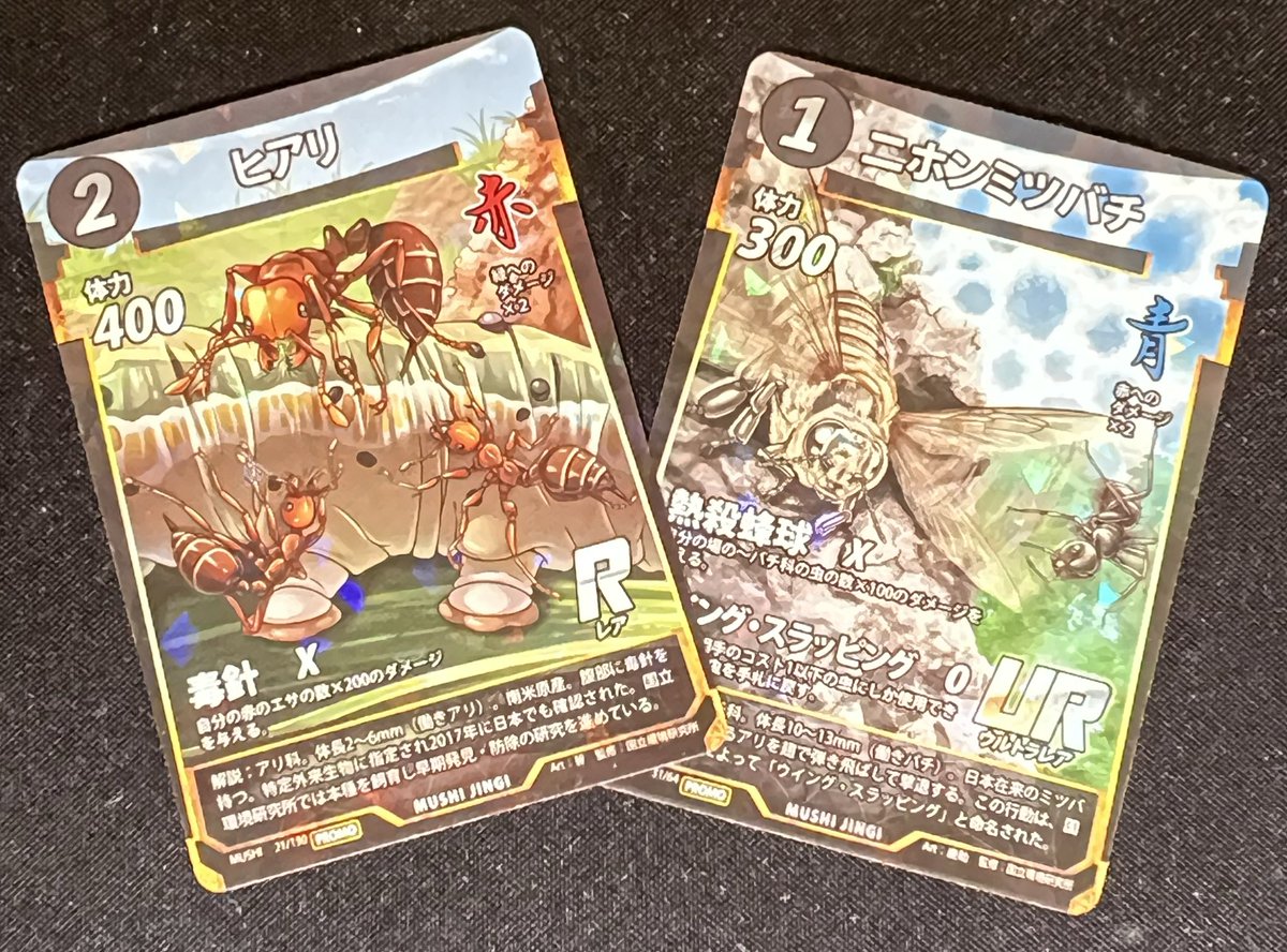 本日の19:00～開催のなかま杯にて、 国立環境研究所のプロモカードが