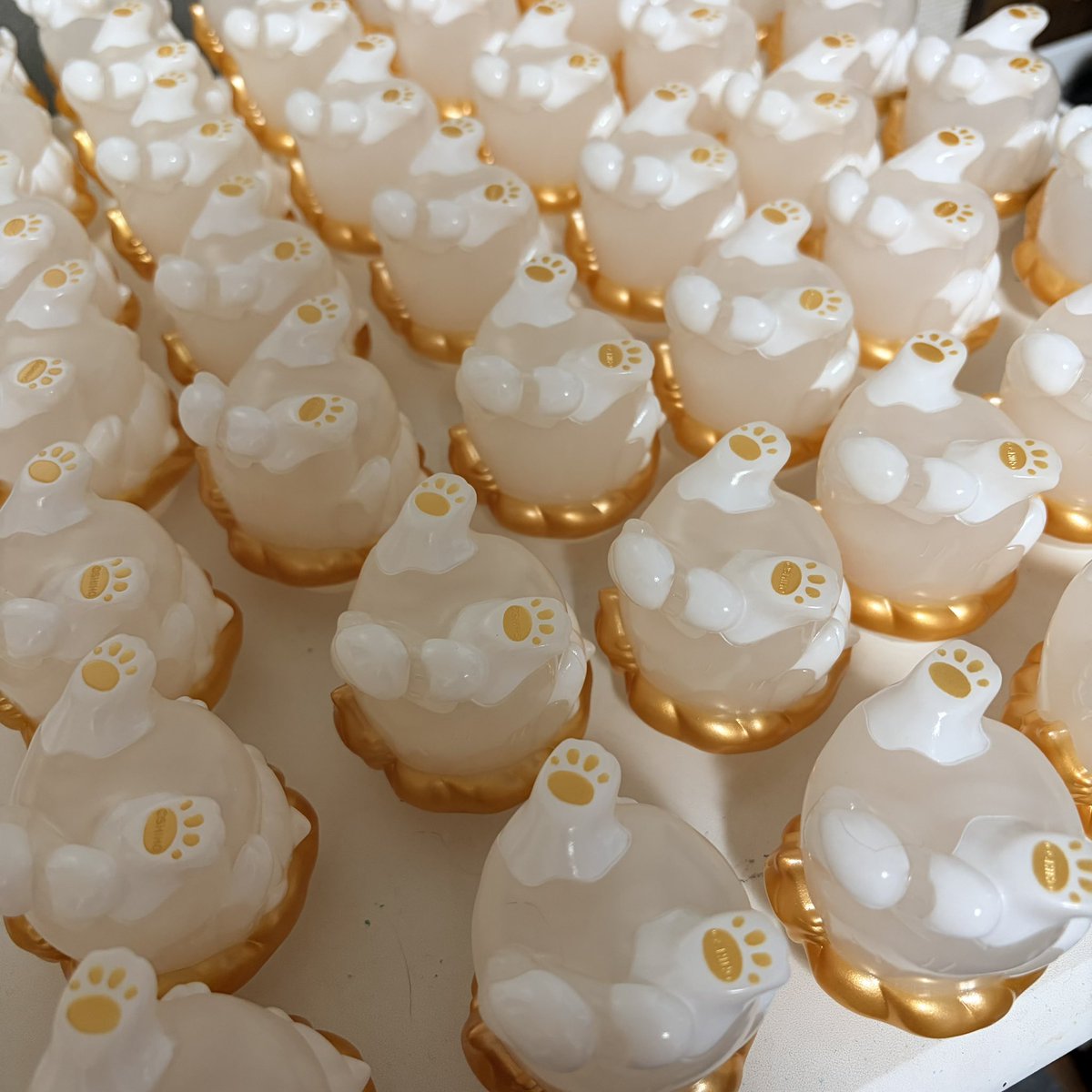 more-cats (@morecats4) / Posts / X