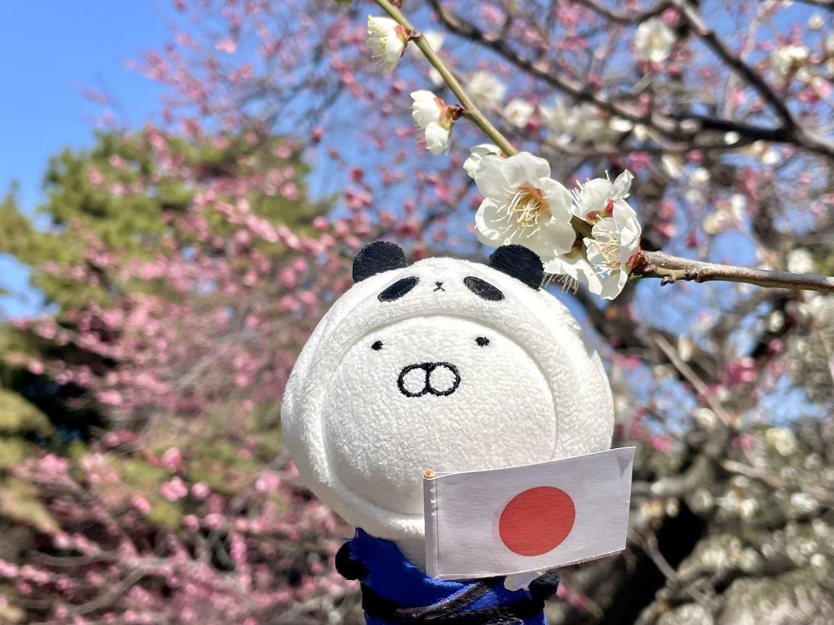 りんりん@新潟 (@rinrin_358) / Posts / X