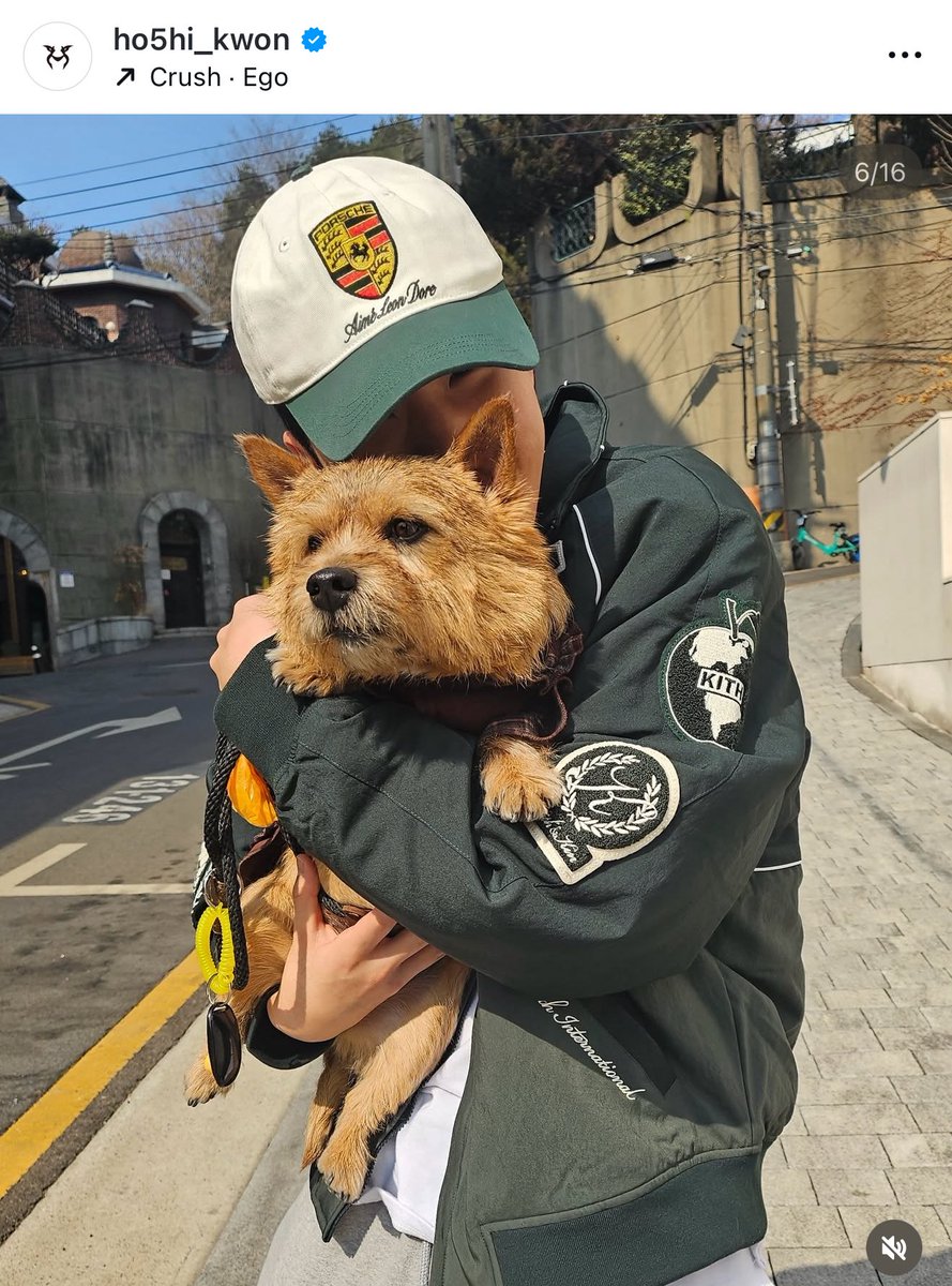 ほんとにホシくんがホシくんのまますぎる🐯♥️これぞクォンスニョンと