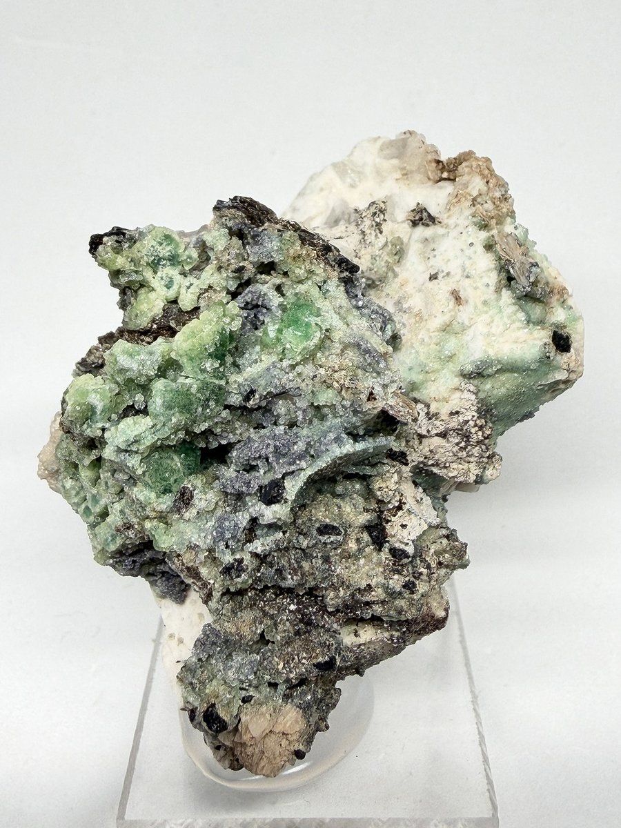 ひとまず深度合成撮影。 倍のイイね云々は大きく出すぎましたね😅 ﾃﾍﾍﾟﾛ