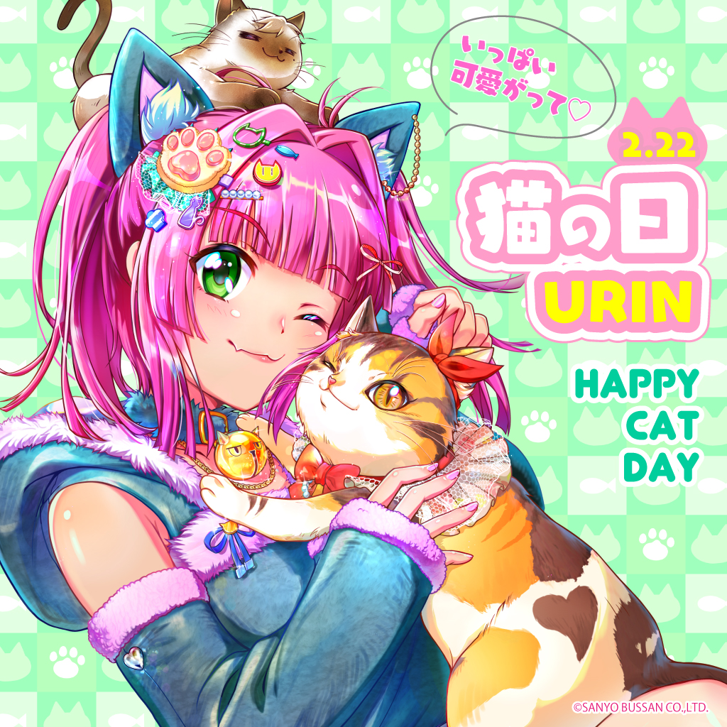 🐈┈┈┈┈┈┈┈🐈‍⬛ 2/22は #猫の日 🐈‍⬛┈┈┈┈┈┈┈🐈 今年は