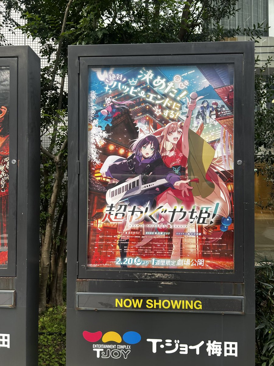 Post by みそスープ🍉 on X: 見るよーん