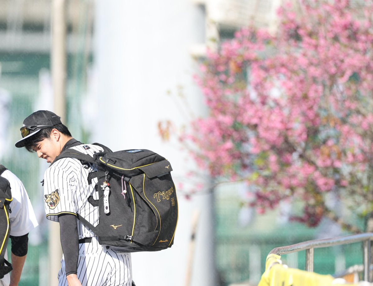 一瞬ピッカピッカの一年生かなぁと思った🤣 風格漂わせるなぁ…