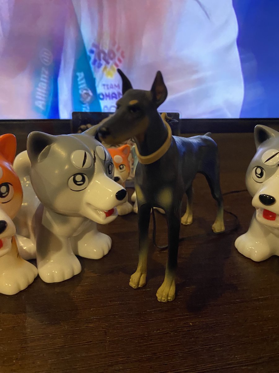 先週と今週がレア‼︎九州‼︎ 銀牙以来なのではないだろうか？ WEED