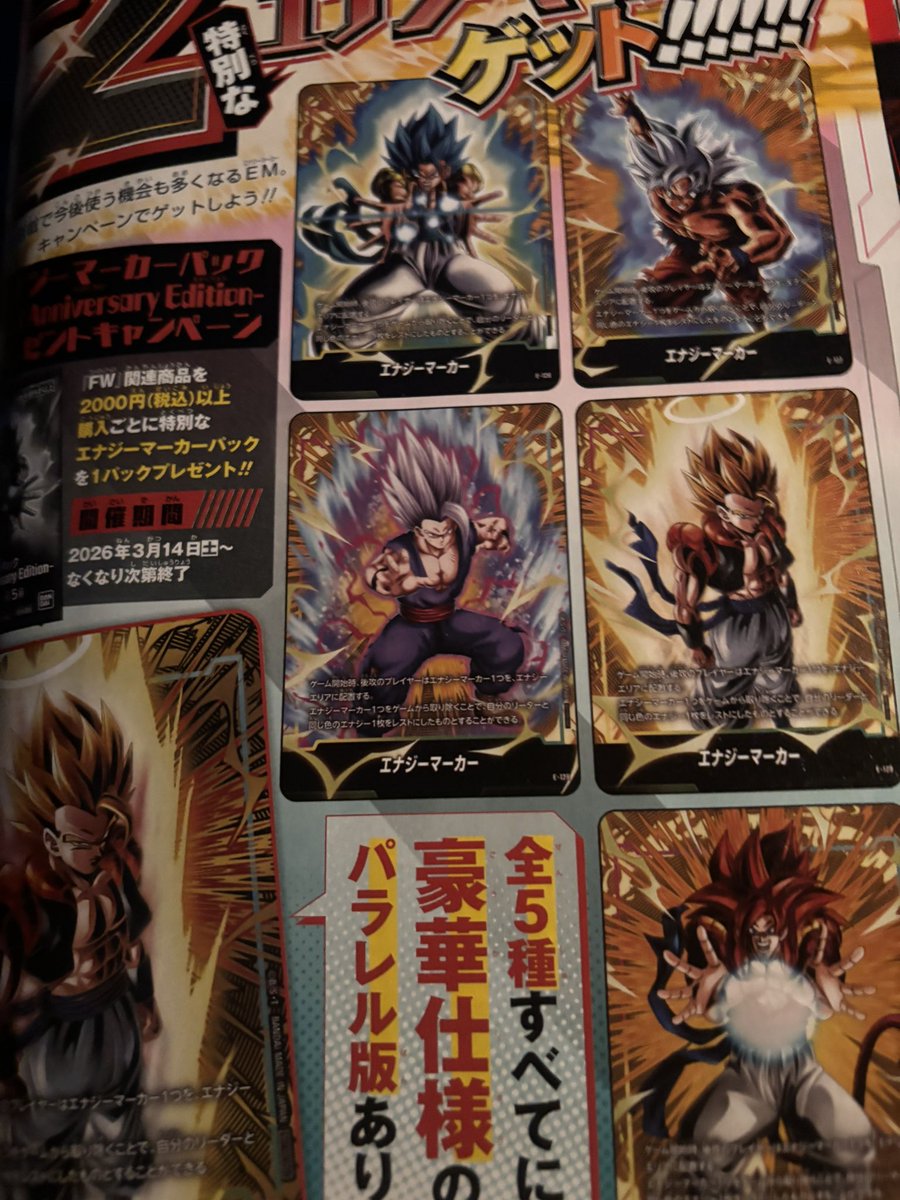 ✓『FW』関連商品を2000円以上購入ごとにエナジーマーカーパックを1