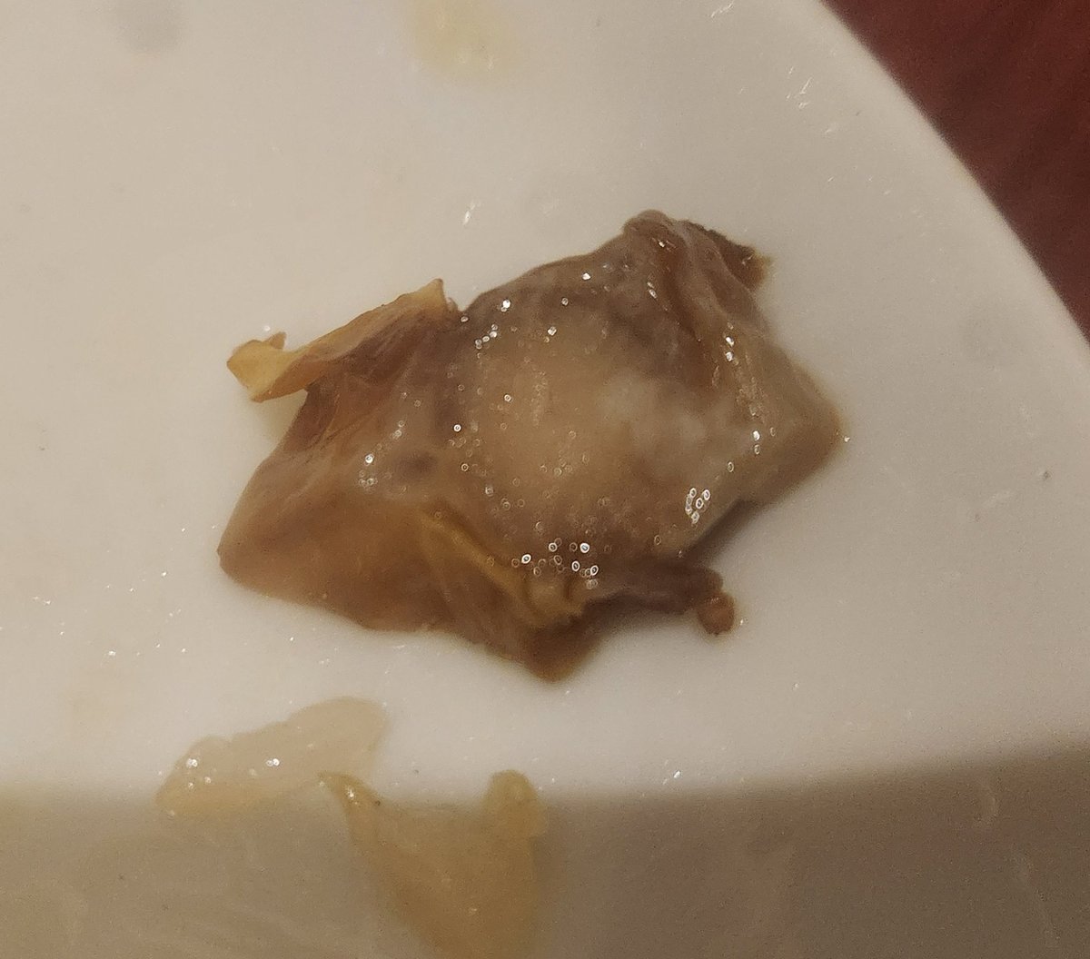 ロイくん (@iii_Roy_iii) / Posts / X