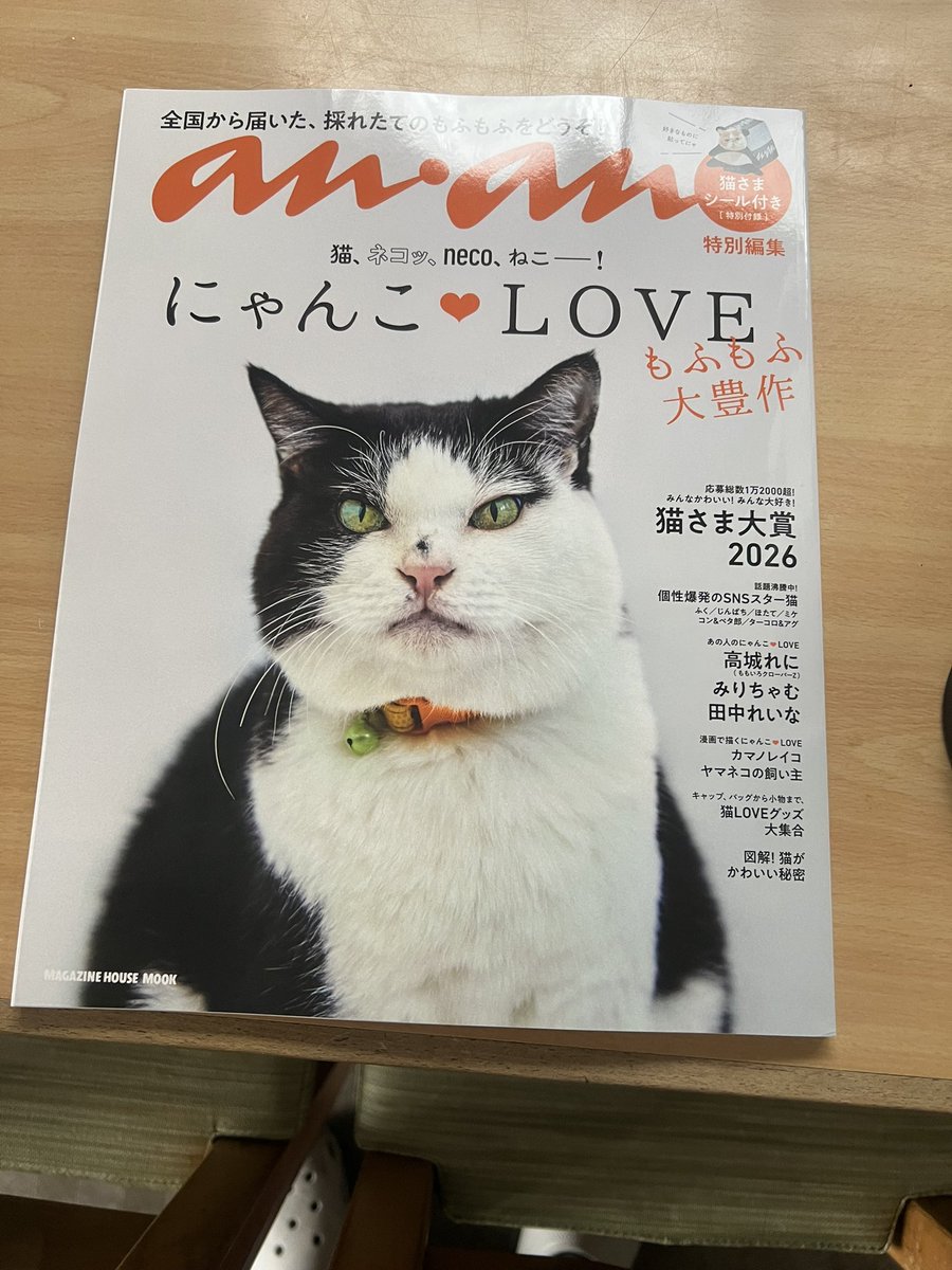 Caught napping on duty.