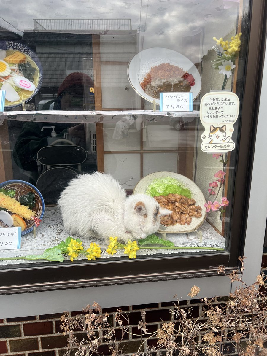 Caught napping on duty.