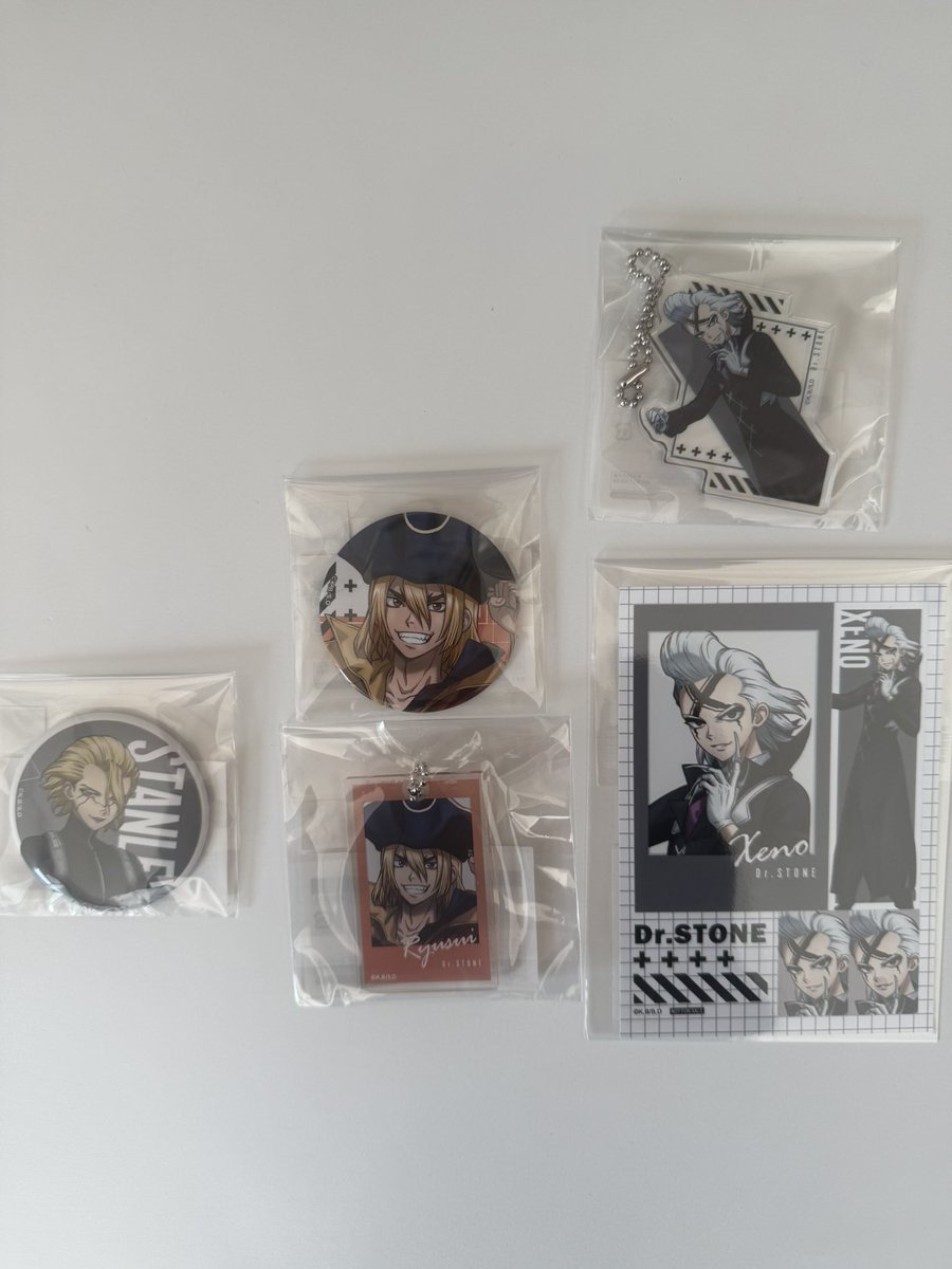 交換】 Dr.STONE ドクターストーン まるくじ第2弾 缶バッジ、購入特典