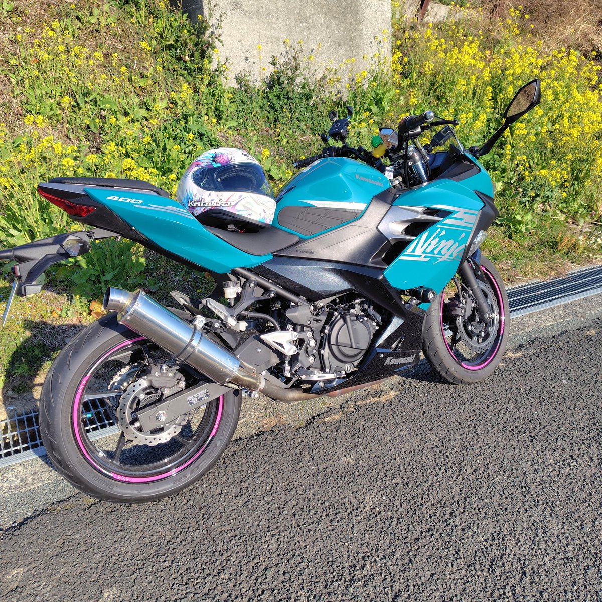 改めて自己紹介🏍️ 名前:ハイジ 性別:メス 年齢:30代 身長:165 住み