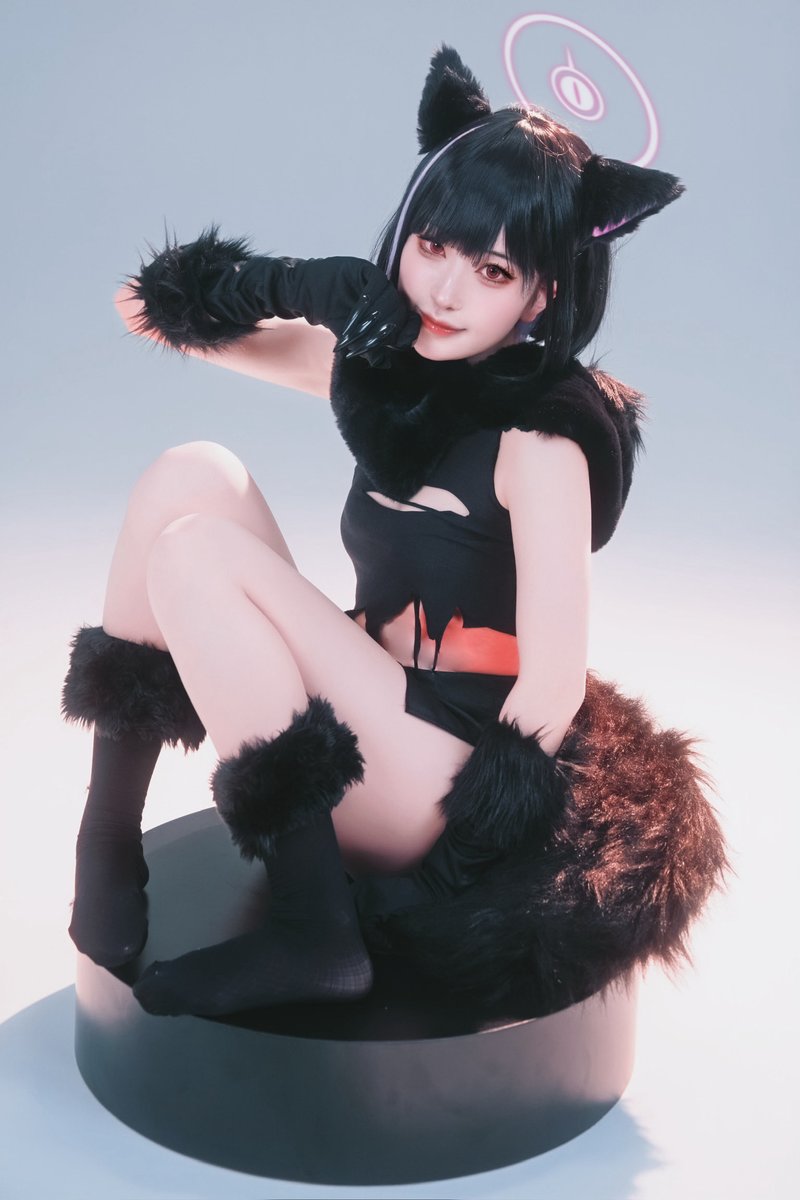 Post by 超ステルスにゃんこ！🥩🍣🩵 on X: 猫の日②