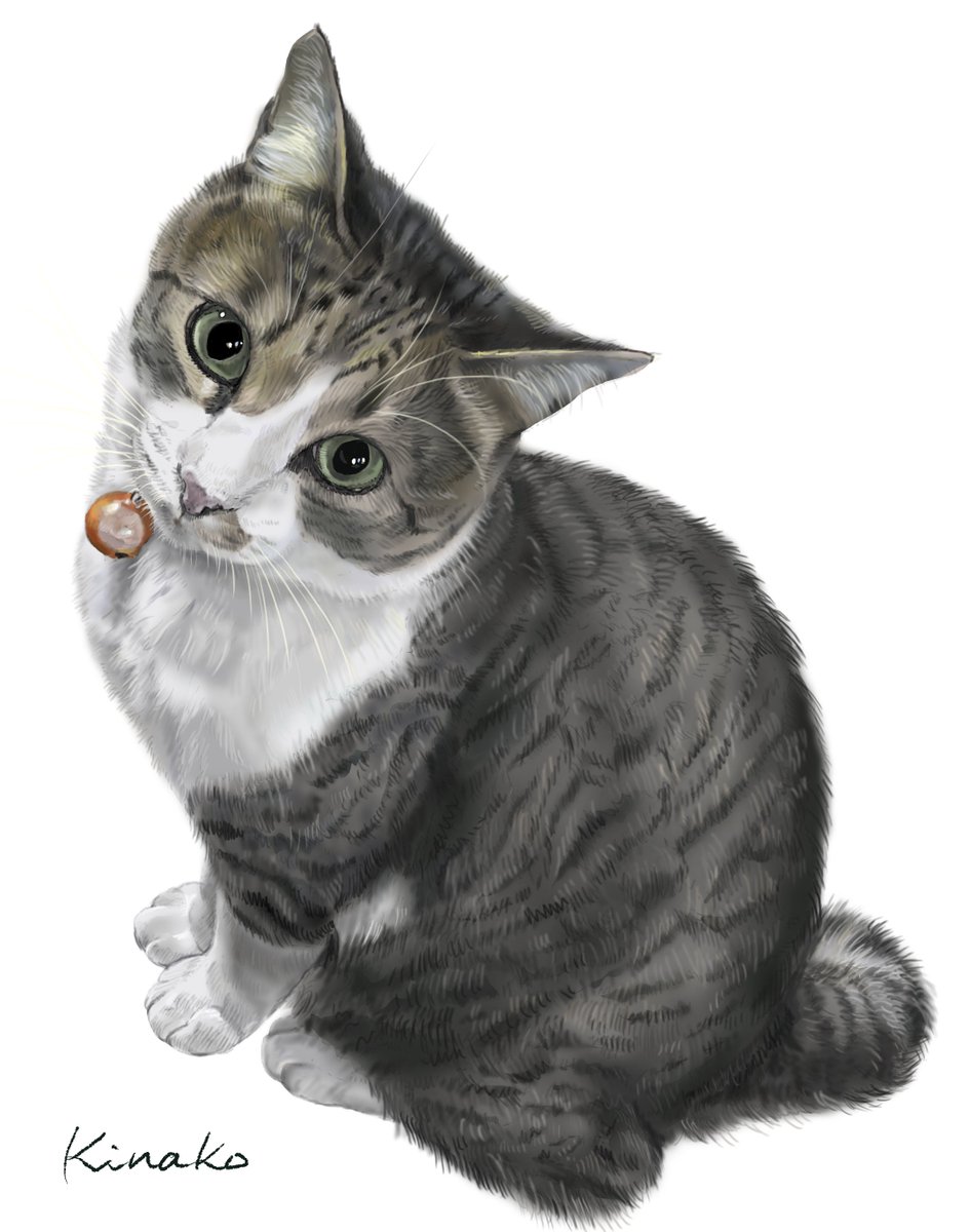 きなこ(猫の絵を描いています） (@91rudo) / Posts / X