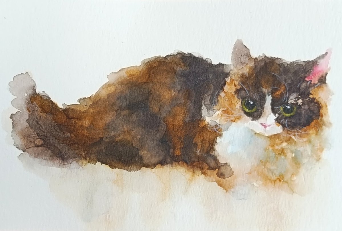 猫の日🐾1時間🎨🖌️ #猫 #水彩画