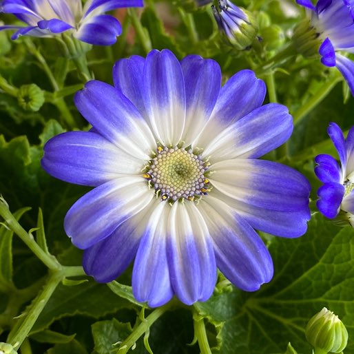 ひろみ 🦋 (@u90pVKxMdO9ffre) / Posts / X