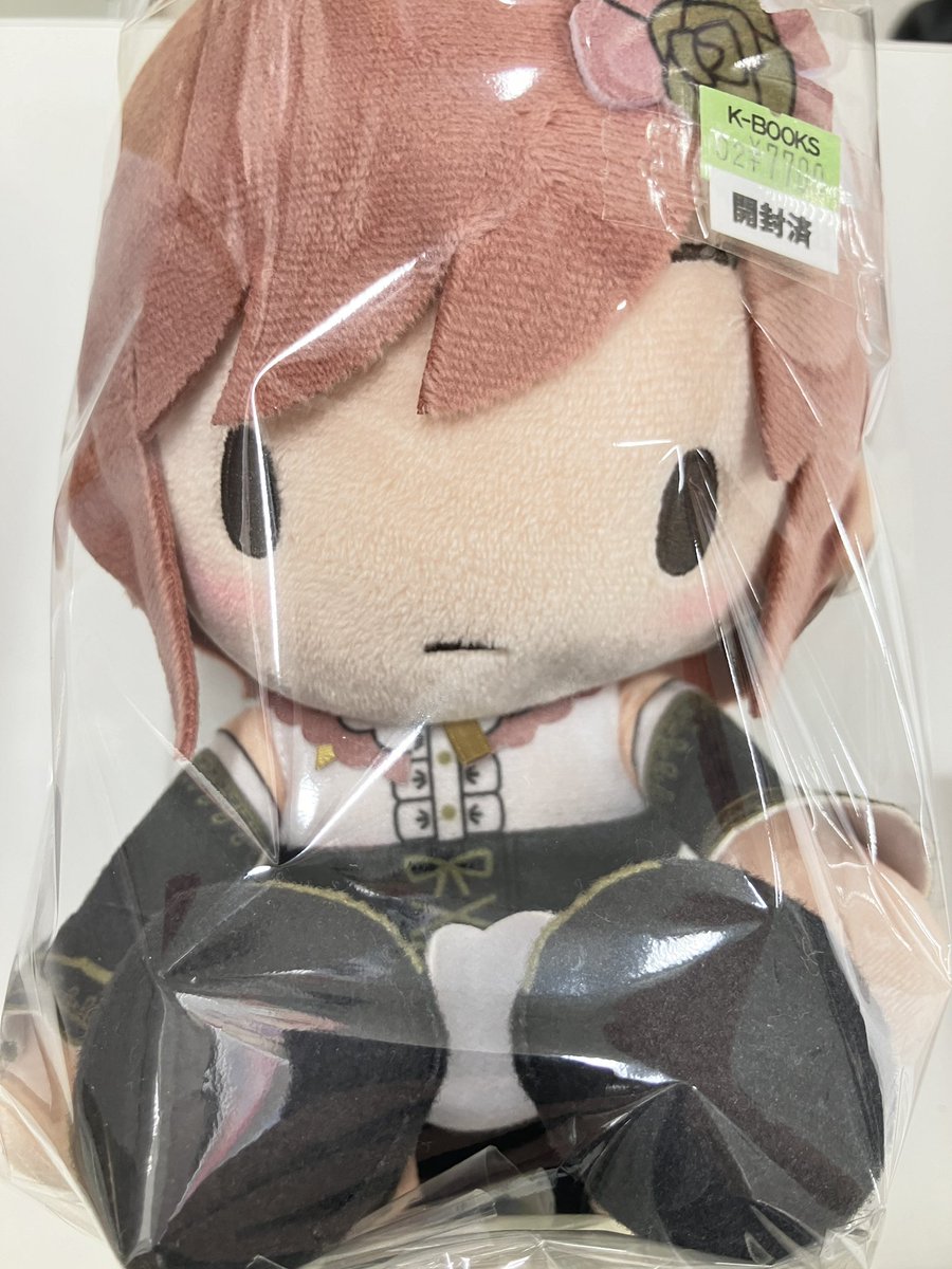 入荷情報】 プロジェクトセカイ プロセカ ふわぷちぬいぐるみ Mサイズ