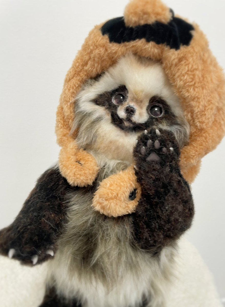 たぬき帽子の狸さん💫 明日2/27夜9時頃まで🍃🐾 #狸 #アートドール