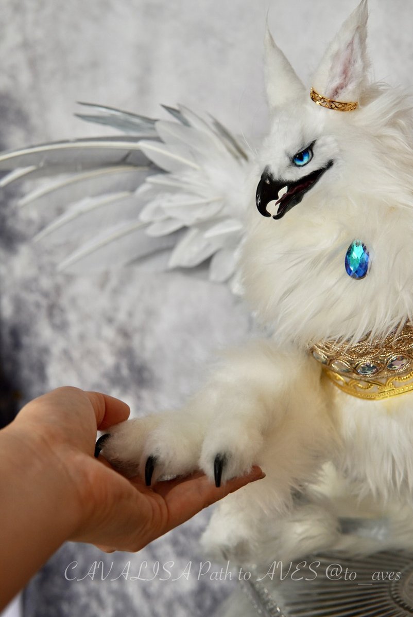 CAVALISA/アートドール作家 (@to_aves) / Posts / X