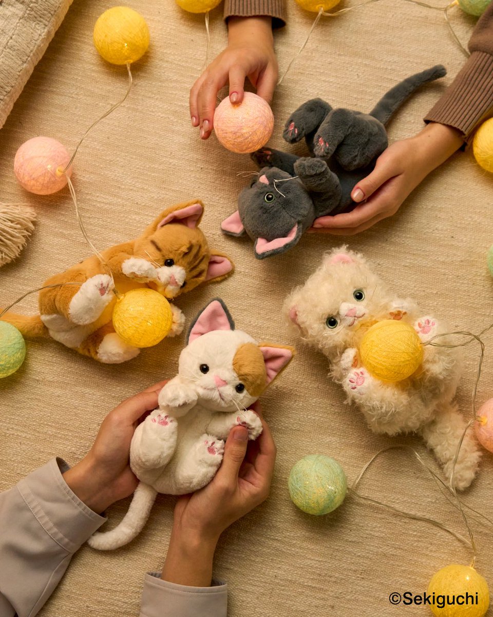 セキグチ公式オンラインショップ (@sekiguchi1918) / Posts / X