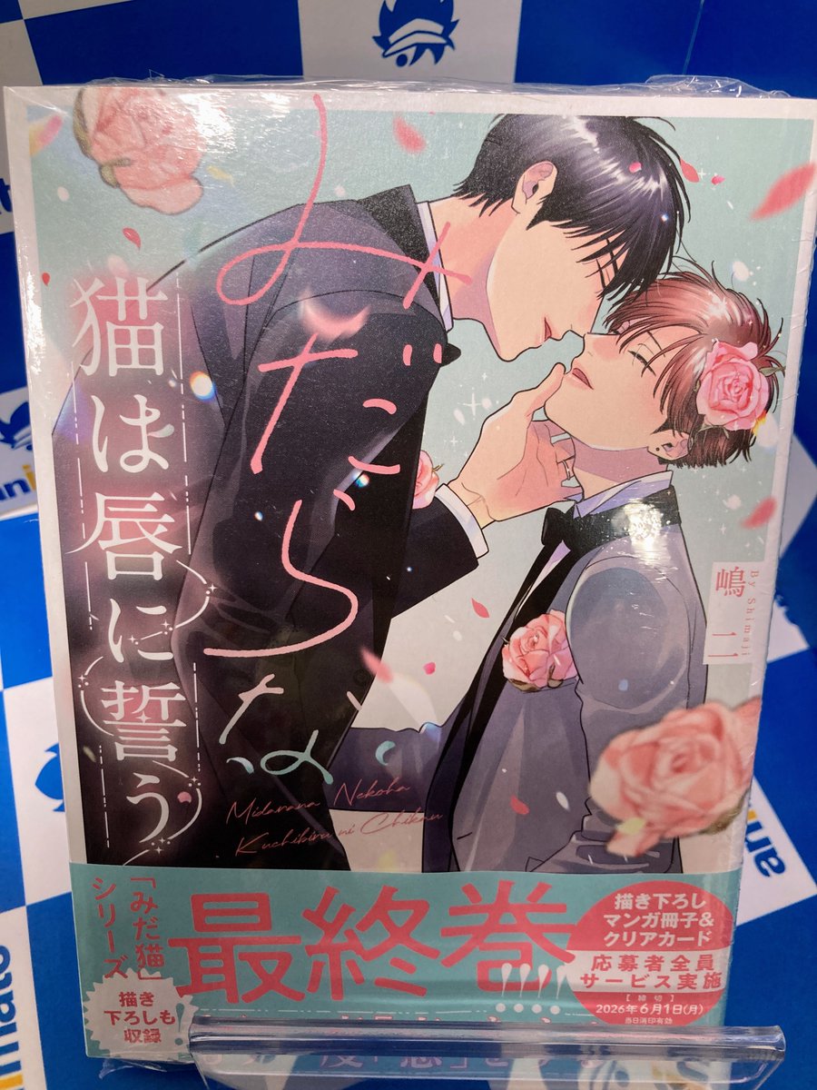 書籍新刊情報】 『みだらな猫は唇に誓う』が入荷しました🎉 アニメイト