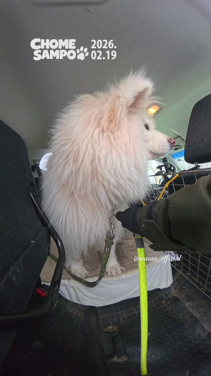 わさお公式 (@WASAO_official) / Posts / X