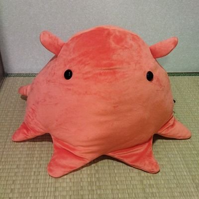 めんだこ (@mendako___san) / Posts / X