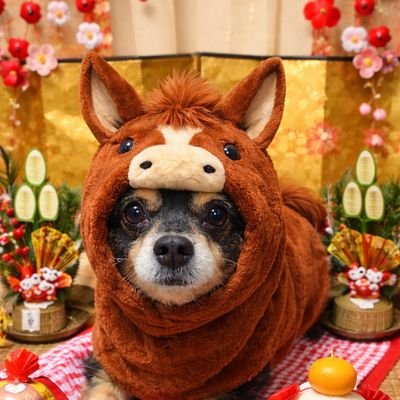 B'z ブランケット付き アサヒスーパードライ2ケースセット買ってきて