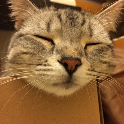 佐藤照雄 (@teruosatou) / Posts / X