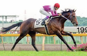 スペシャルウィーク 急死 「一生忘れない馬です。」by武豊 - 競馬予想