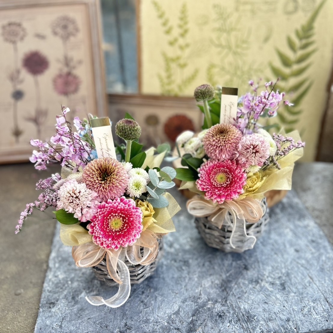 ぺんぎんやEC公式通販サイト-八代市のフラワーショップ / 季節の