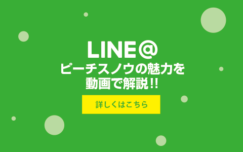 アイテム | 【公式】ピーチスノウ - PEACHSKNOW -