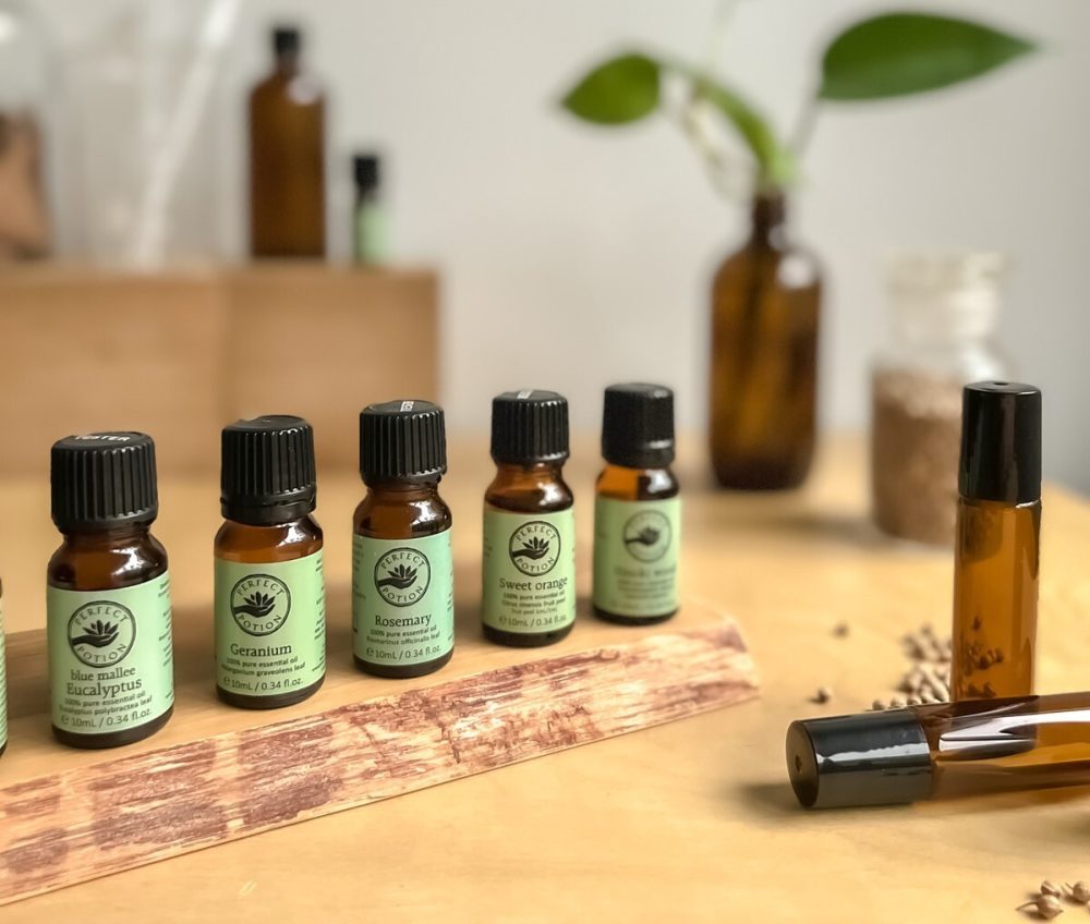 パーフェクトポーションコレド日本橋店がリニューアル