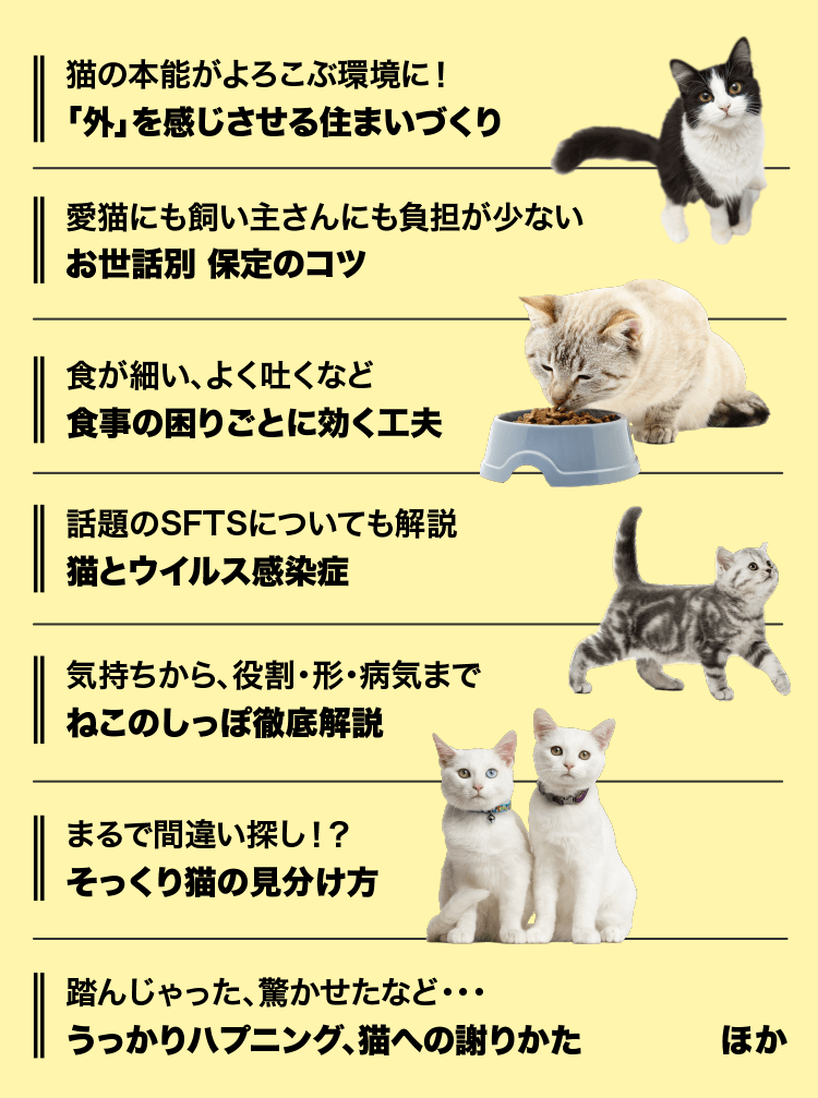 特典・ふろくのご紹介| 愛猫の健康・育て方がわかる雑誌「ねこのきもち