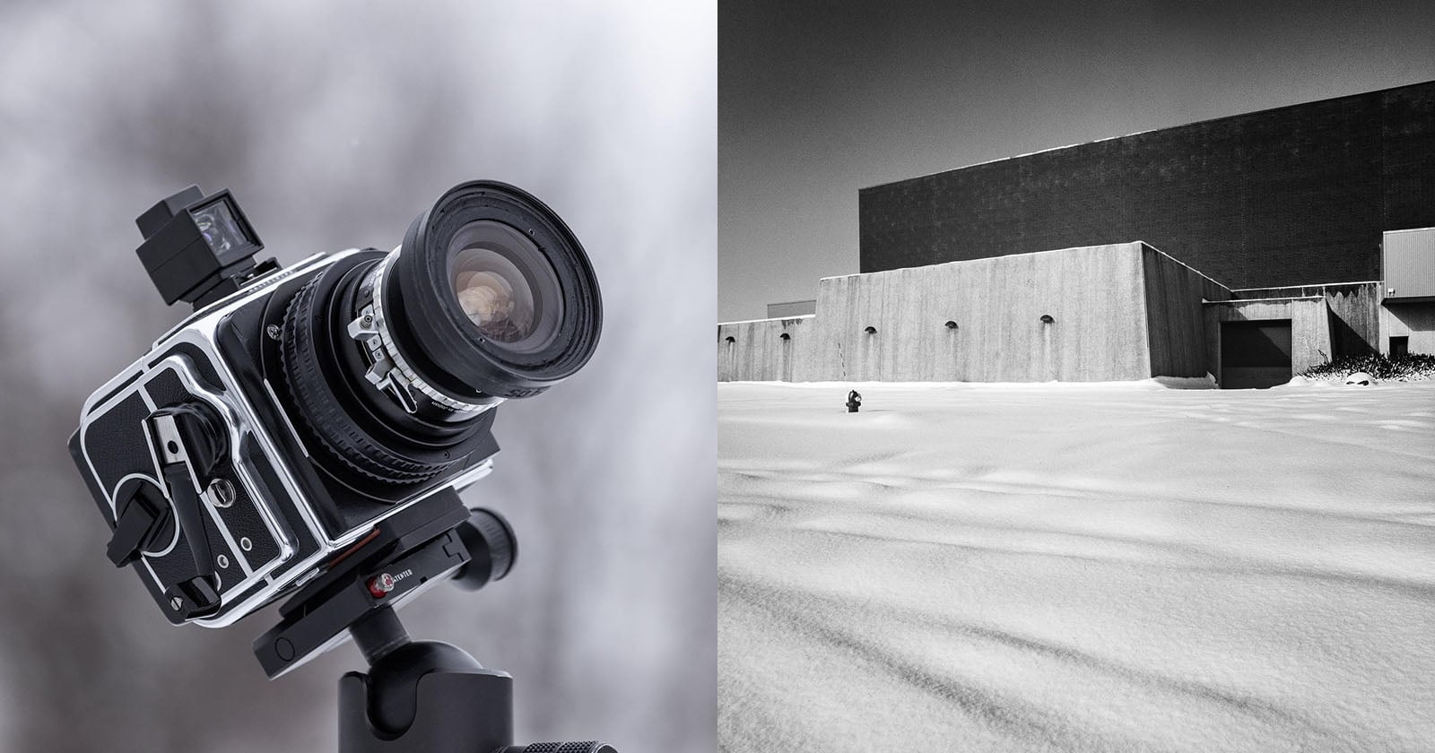 アート・デザイン・音楽 Hasselblad Masters: Evoke (3) アート