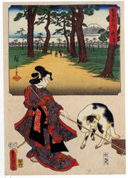 フランスが夢見た日本－陶器に写した北斎、広重 ＠東京国立博物館表慶