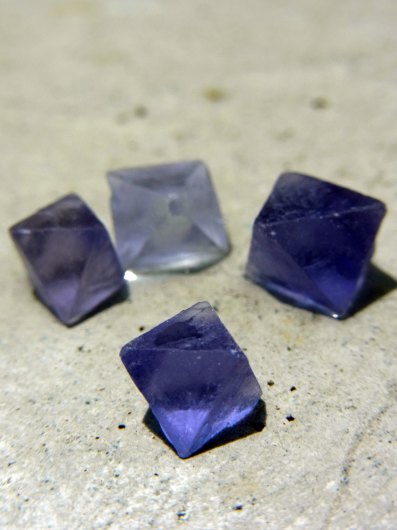 蛍石酔い、ニューメキシコ州ビンガム産八面体蛍石バージョン : 時計草