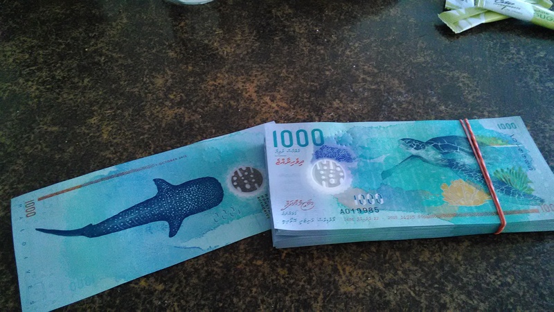 モルディブ 新しいお金登場！1000ルフィアのイラストはジンベイザメ
