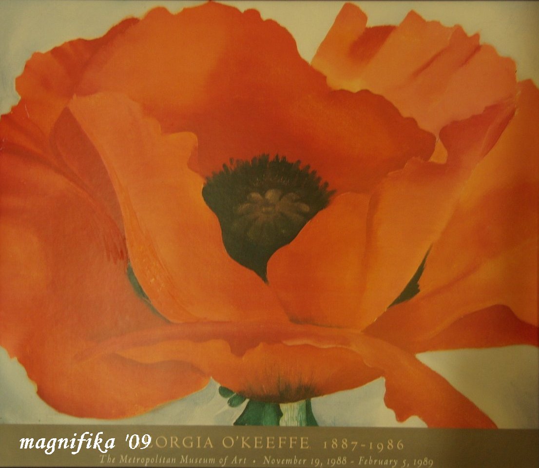 my gallery 23: オキーフの赤色のポピー O'Keeffe's Red Poppy © : My