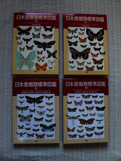 日本の蛾 岸田奈則 Gakken 学研 図鑑 日本の蛾 | 岸田泰則 |本 | 通販