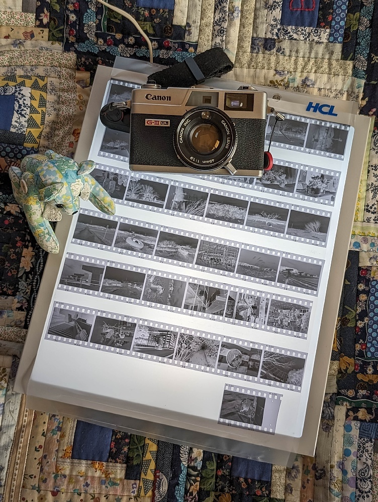 1972年製「一家に一台」カメラ - Canon Canonet G-III 19 : Soul Eyes