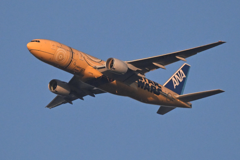 ANA：C－3PO：JA743A：3月3日の夕日に映える：翌3月4
