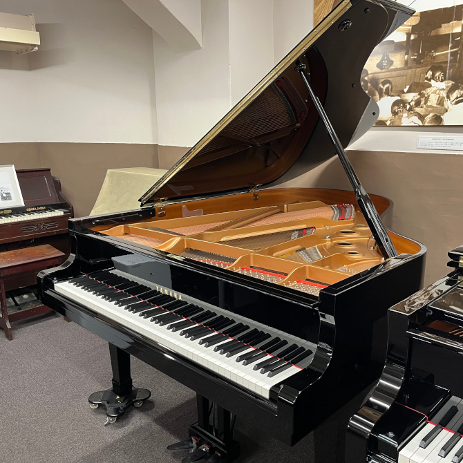 Yamaha ピアノ サイレントアンサンブルコントロールユニット PPC55R