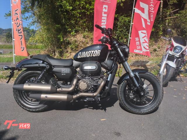 グーバイク】4スト・MT・「2気筒 バイク 250cc」のバイク検索結果一覧