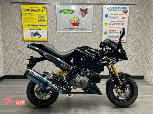 カワサキ Z125PRO ワンオーナー GPZ外装キット BEET