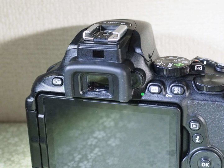 初心者でも綺麗に撮れる！】ニコンのD5600を実際に使ってみた