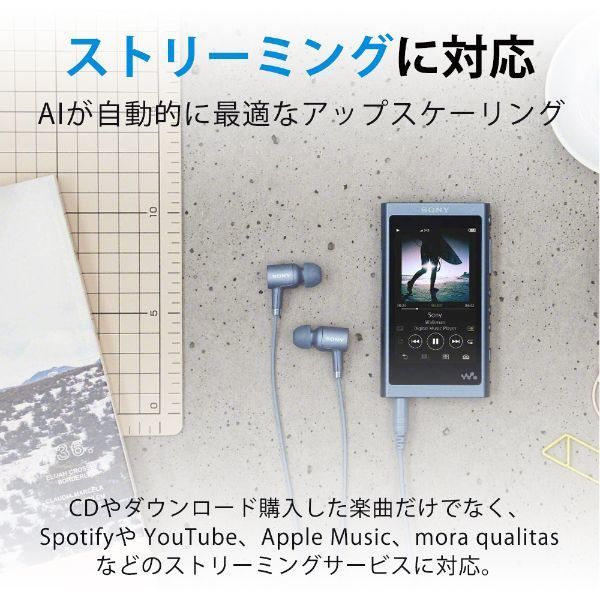 SONY NW-A105-G アッシュグリーン Walkman(ウォークマン) A100シリーズ